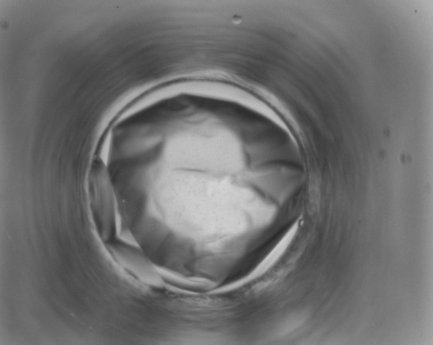 X0000080710959200701051006