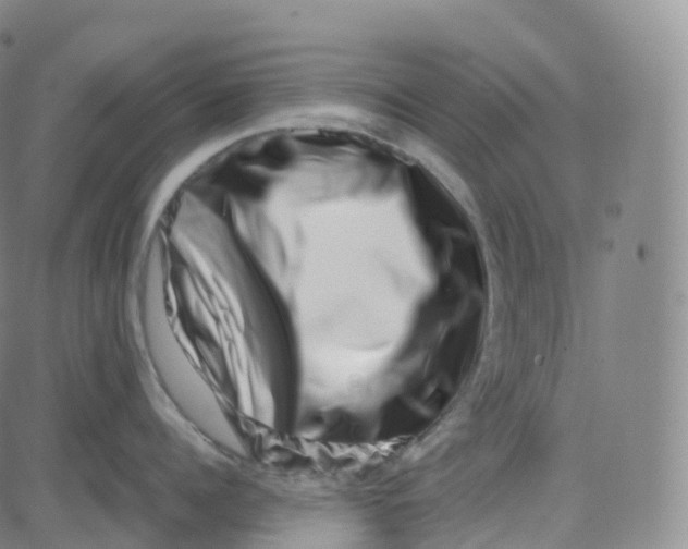 X0000080710960200701051006