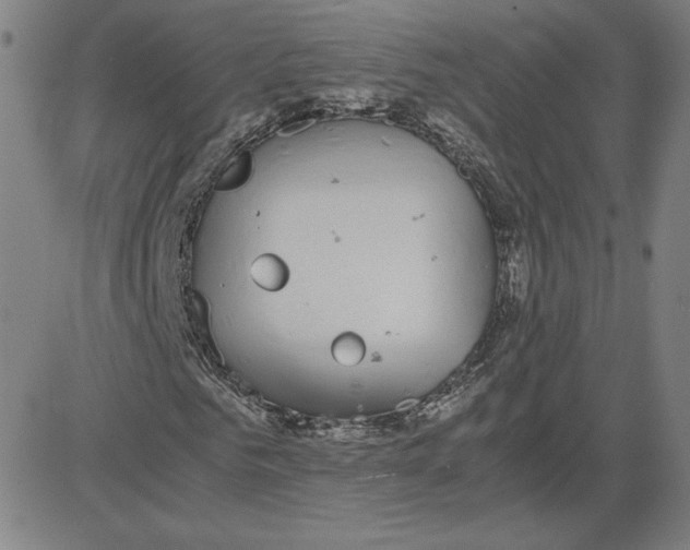 X0000080710961200701051005