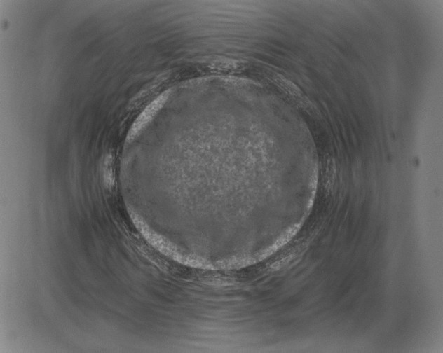 X0000080710962200701051005