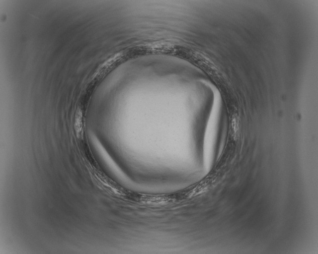 X0000080710963200701051005