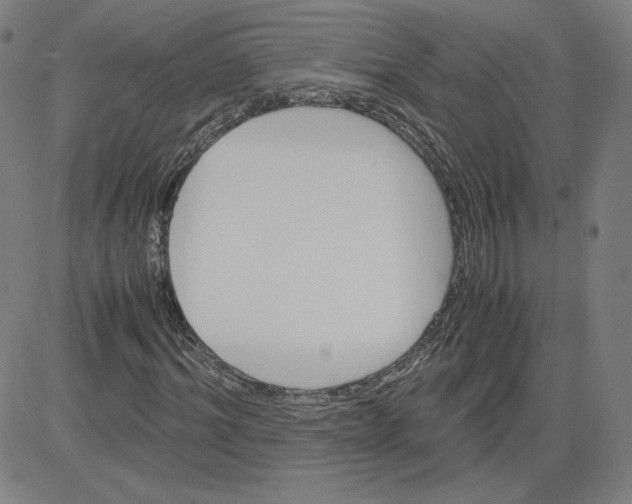 X0000080710964200701051005