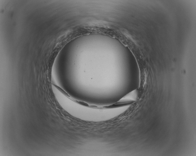 X0000080710965200701051005