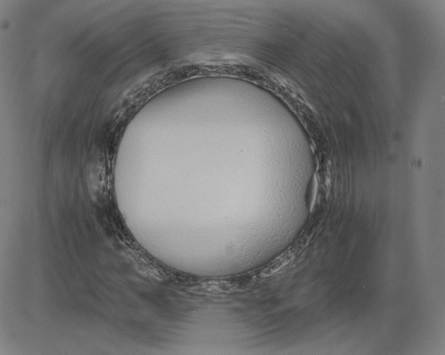 X0000080710966200701051005