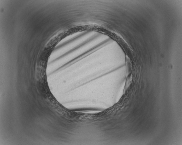 X0000080710967200701051005