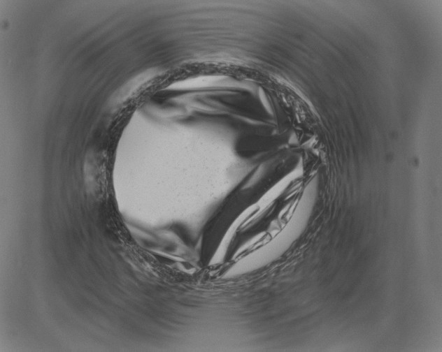 X0000080710968200701051005