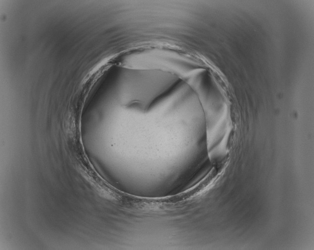 X0000080710969200701051005