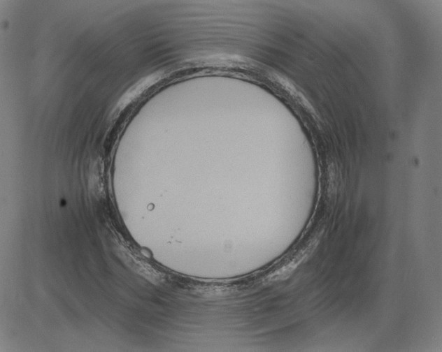 X0000080710970200701051005