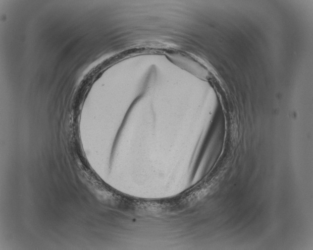 X0000080710971200701051005