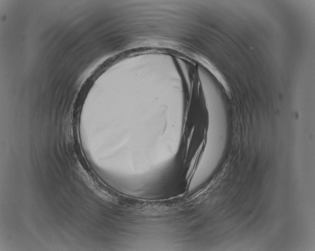 X0000080710972200701051005