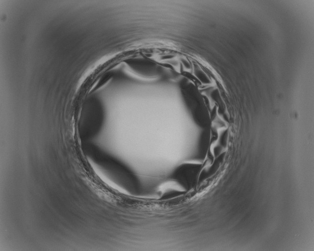 X0000080710973200701051005