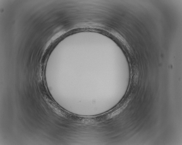 X0000080710974200701051005