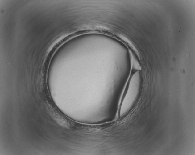 X0000080710975200701051005