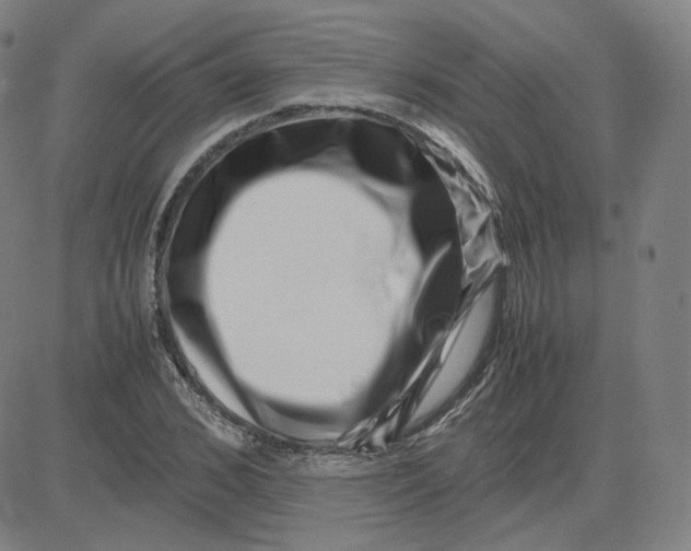 X0000080710976200701051005