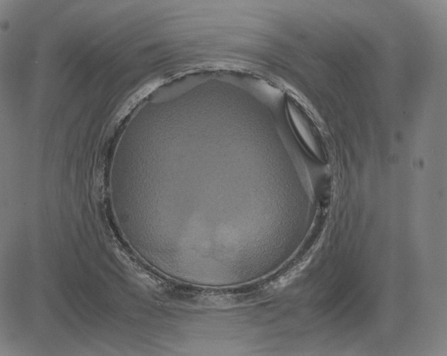 X0000080710977200701051005