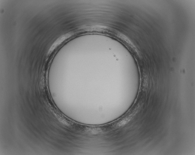 X0000080710978200701051005