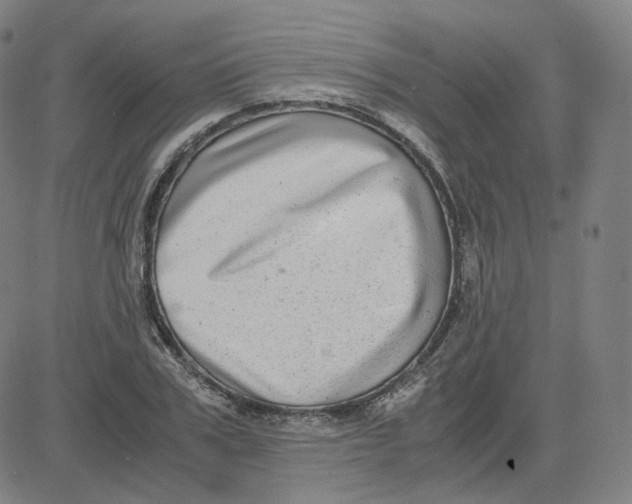 X0000080710979200701051005