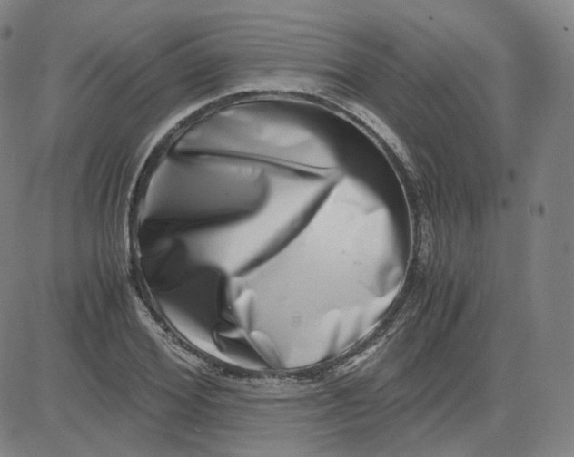 X0000080710980200701051005