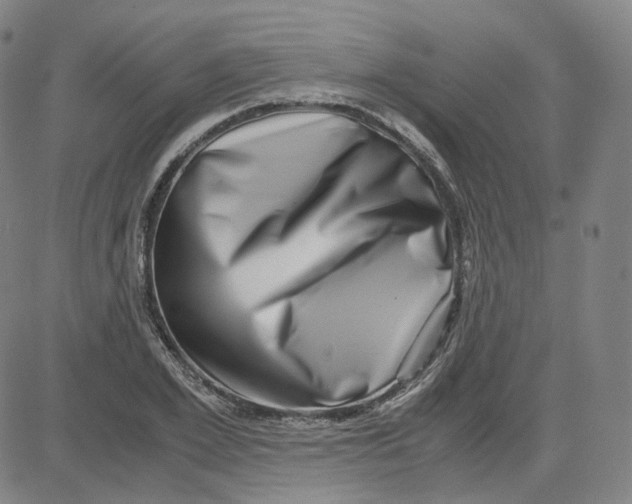 X0000080710981200701051005