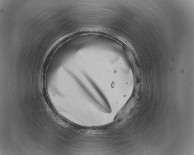 X0000080710984200701051005