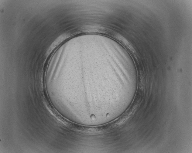 X0000080710986200701051005