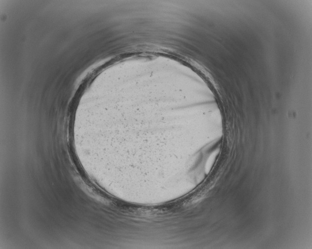 X0000080710987200701051005