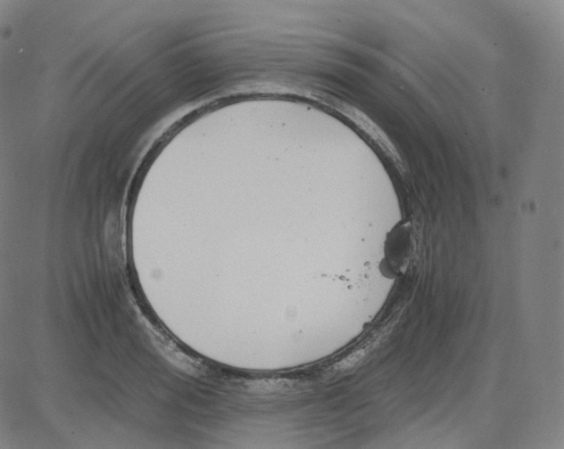 X0000080710988200701051005