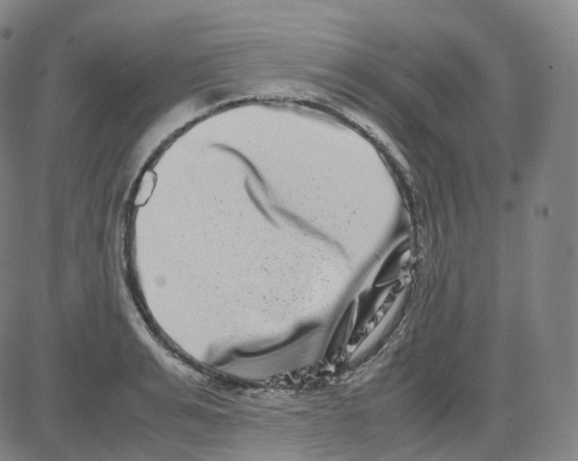 X0000080710991200701051005