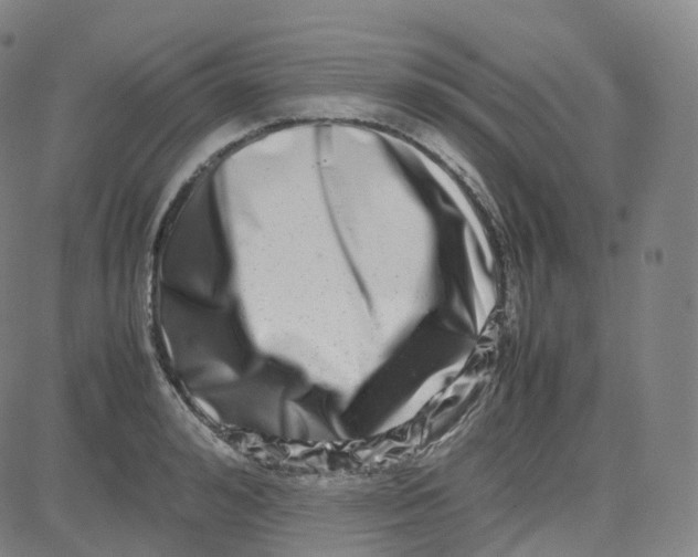 X0000080710992200701051005