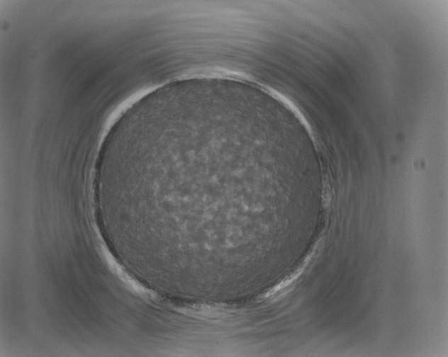 X0000080710995200701051005