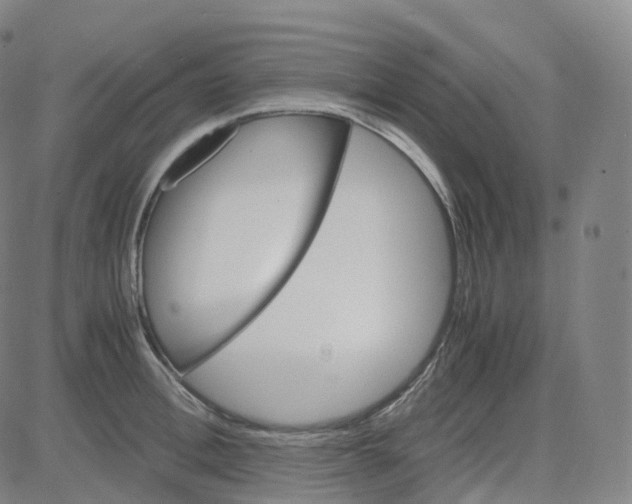 X0000080710996200701051005