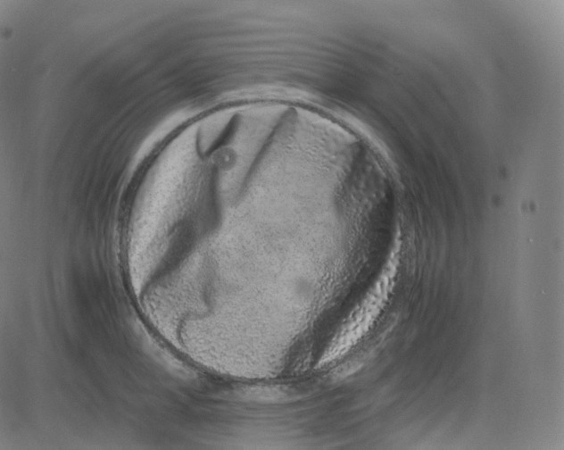 X0000080710998200701051005