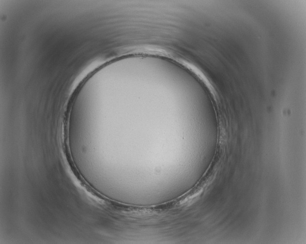 X0000080710999200701051005