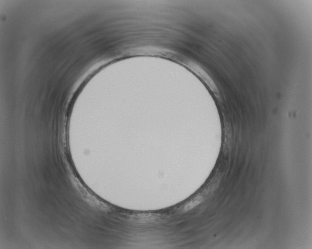 X0000080711000200701051005