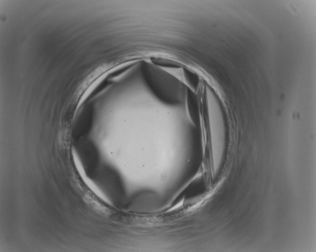 X0000080711001200701051005