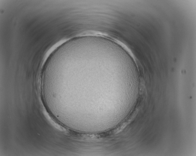 X0000080711003200701051005