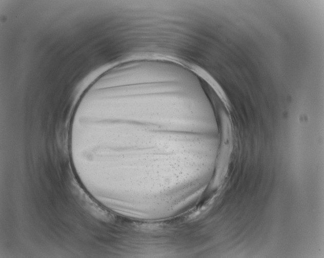 X0000080711004200701051005