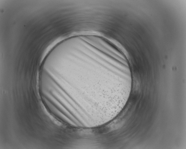 X0000080711006200701051005