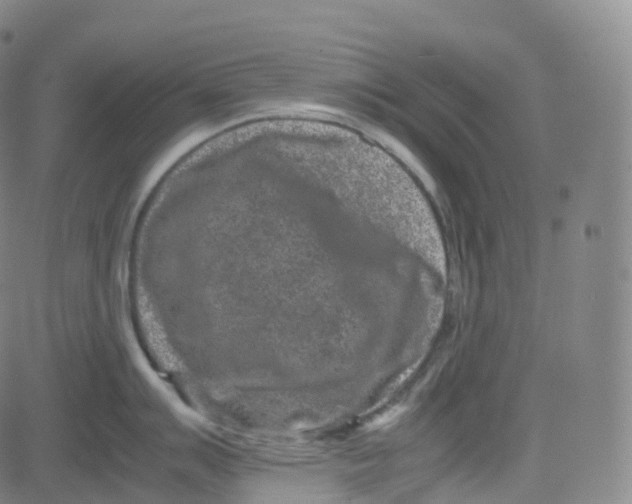 X0000080711007200701051005