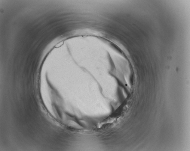 X0000080711008200701051005