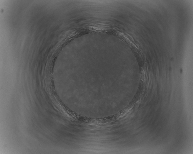 X0000080711009200701051004