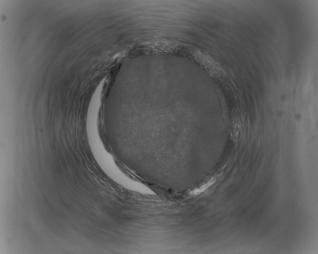 X0000080711010200701051004