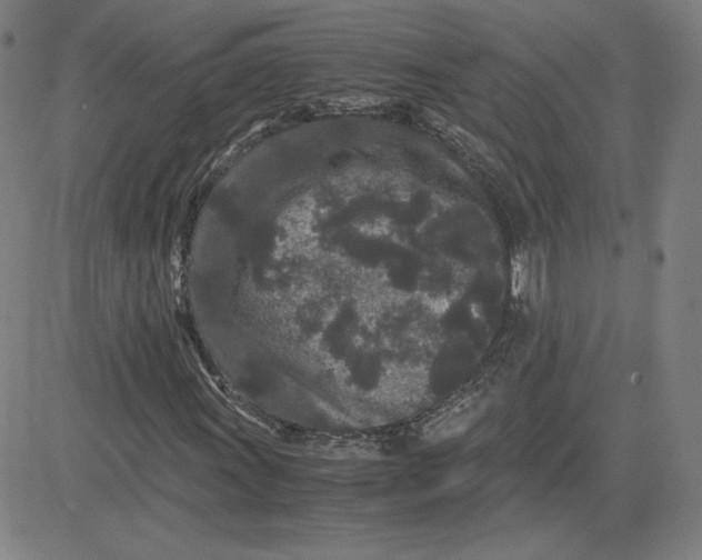 X0000080711011200701051004