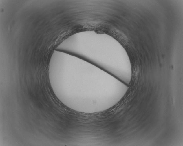 X0000080711012200701051004