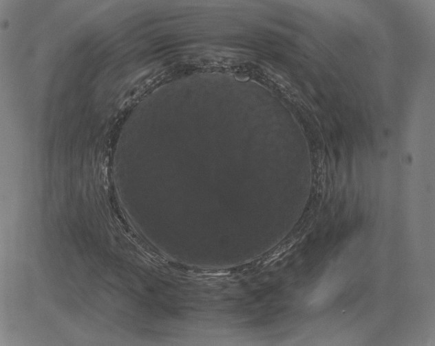 X0000080711013200701051004