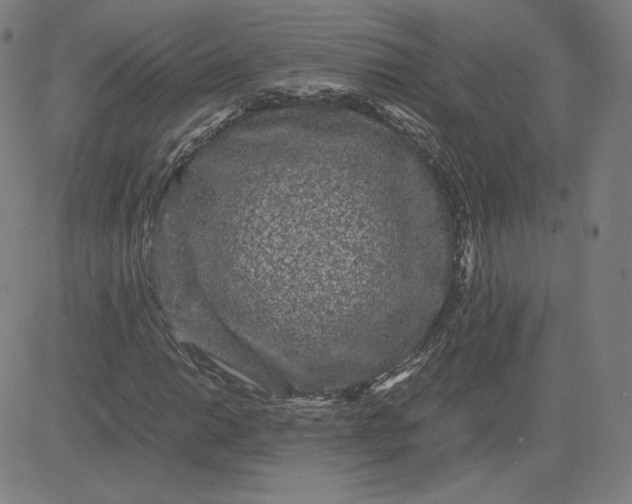 X0000080711014200701051004