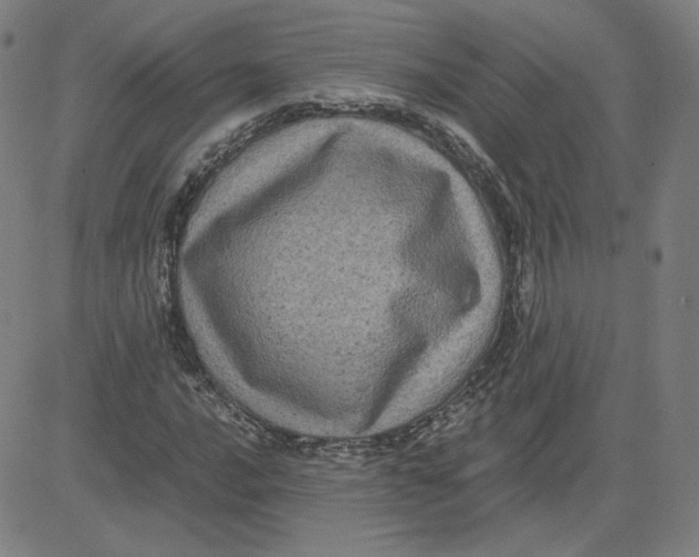 X0000080711016200701051004