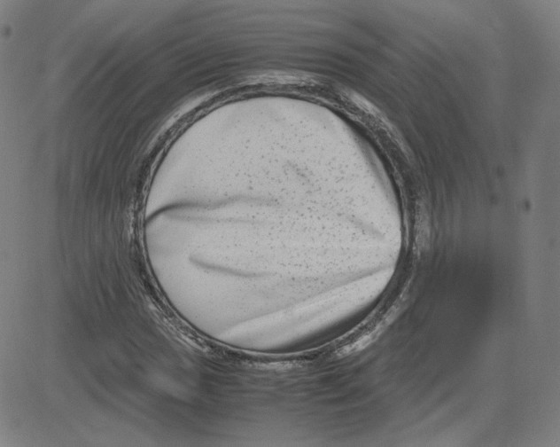 X0000080711017200701051004