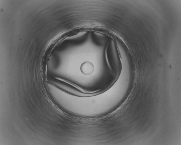 X0000080711018200701051004