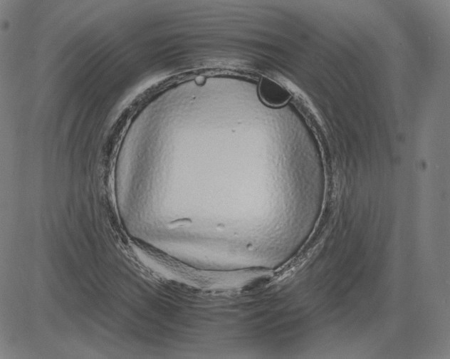 X0000080711019200701051004